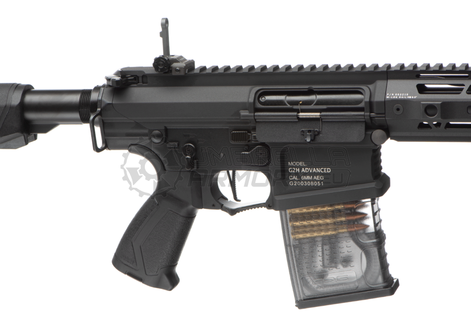 TR16 SBR 308 Mk2 (G&G)